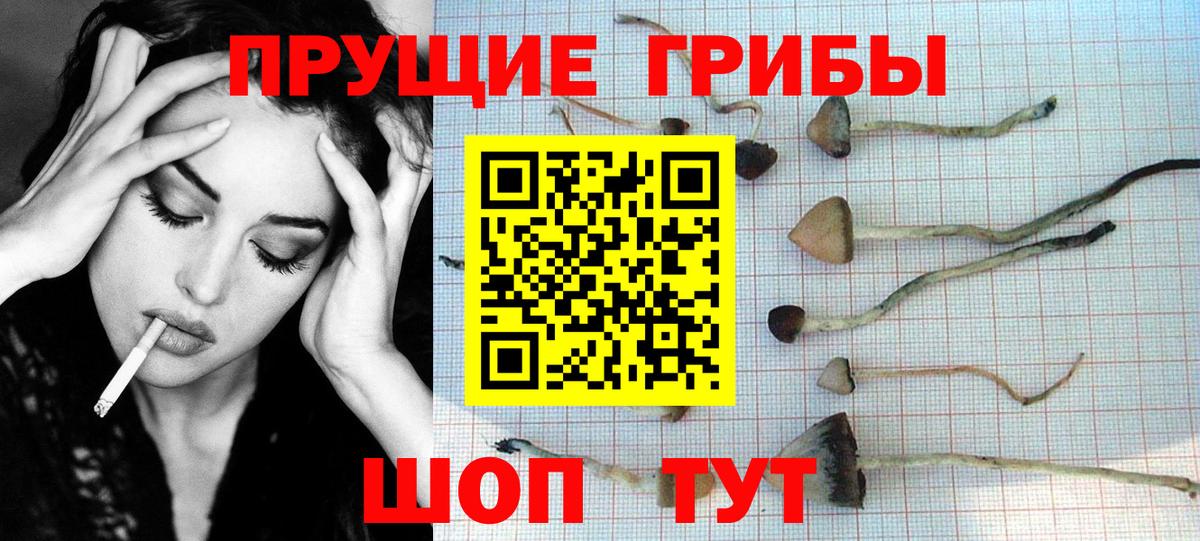 Псилоцибиновые грибы мухоморы  Вход с VPN  сколько стоит  Назарово  Галлюциногенные грибы мухоморы 